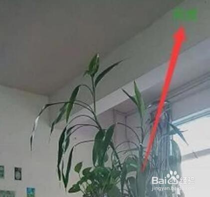 怎样让朋友圈视频加上萌动表情图？