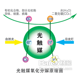 装修去除甲醛的方法