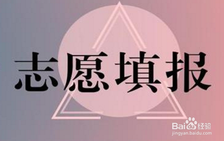 2019年高考志愿报考指南
