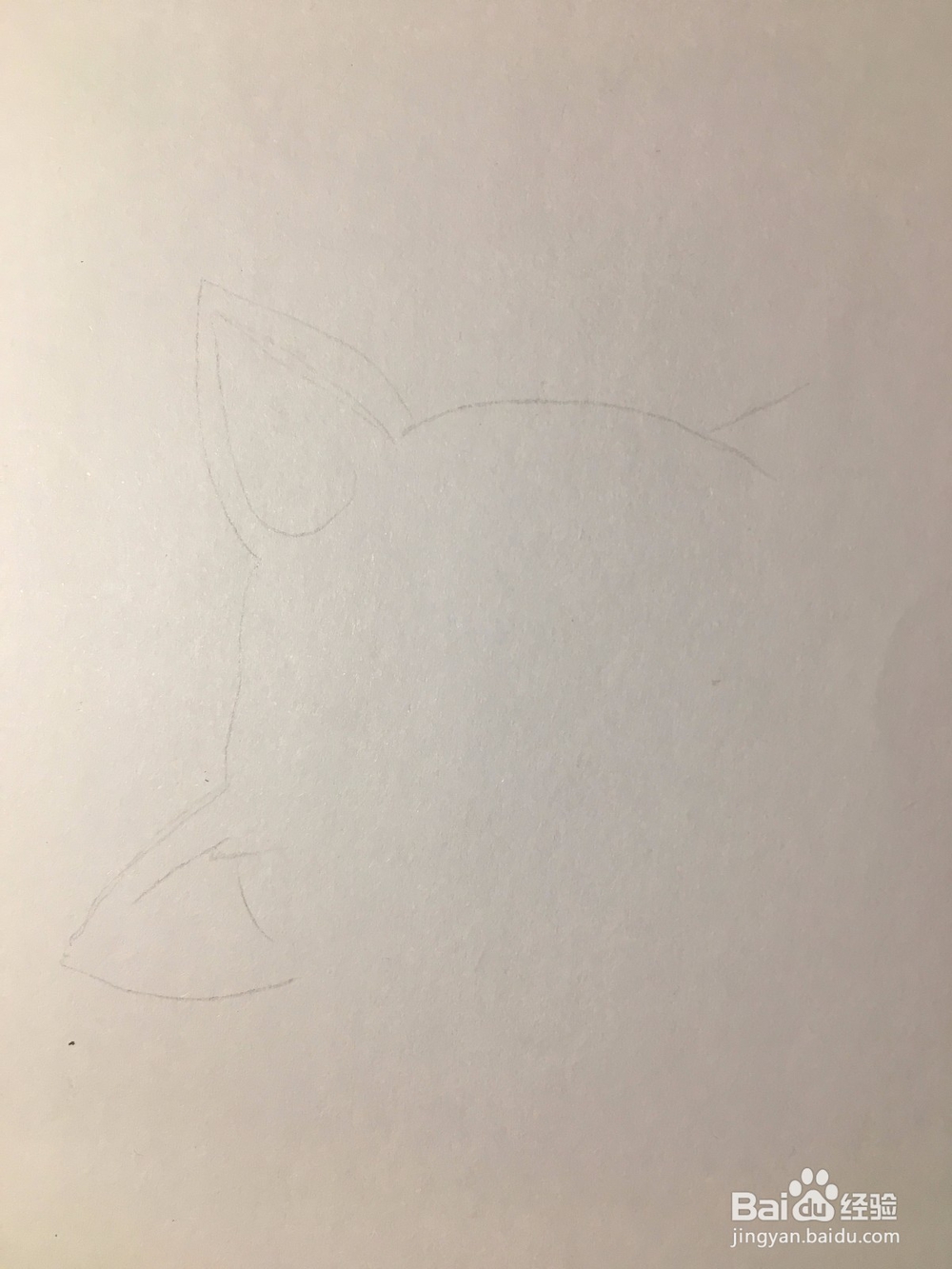<b>简笔画：画一只猫的头像 儿童绘画 幼儿画画</b>