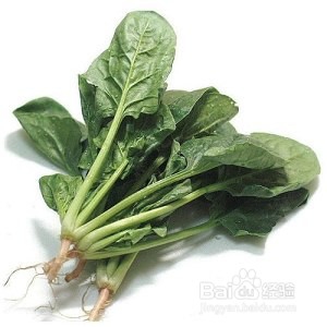 食补佳品翡翠白菜饺子