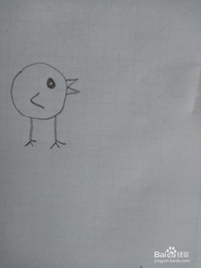 小鸡的简笔画