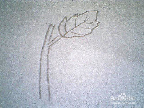 简笔画生长着的苍耳