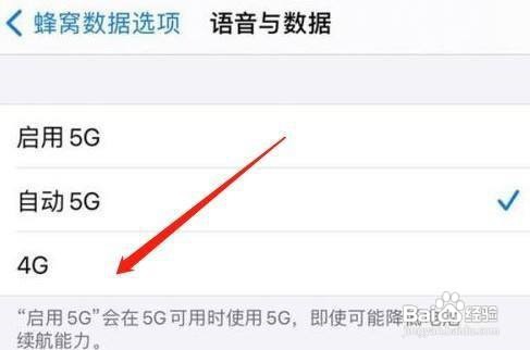 iphone12的5g网络怎样关闭