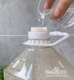 如何清洁油壶？