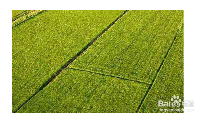 耕地保护政策有哪些？