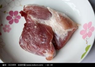 家养宠物巴西龟
