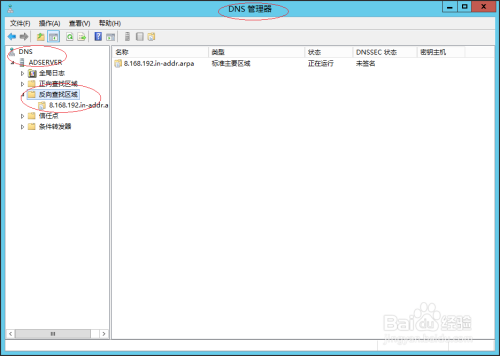 Windows Server 2012 R2编辑反向DNS名称服务器
