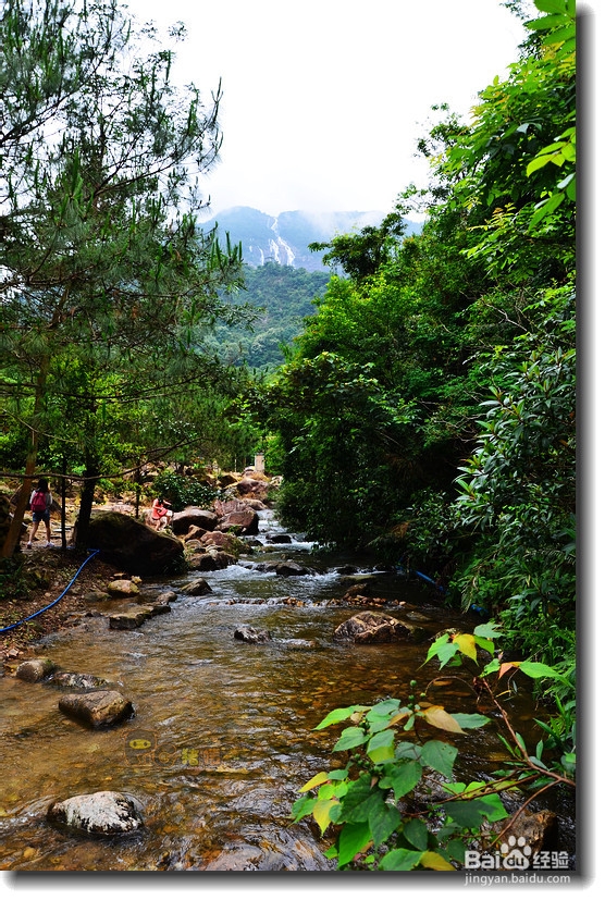 天然避暑胜地白水寨游记攻略