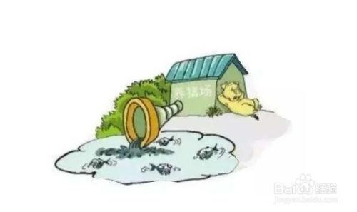 如何保护水源地