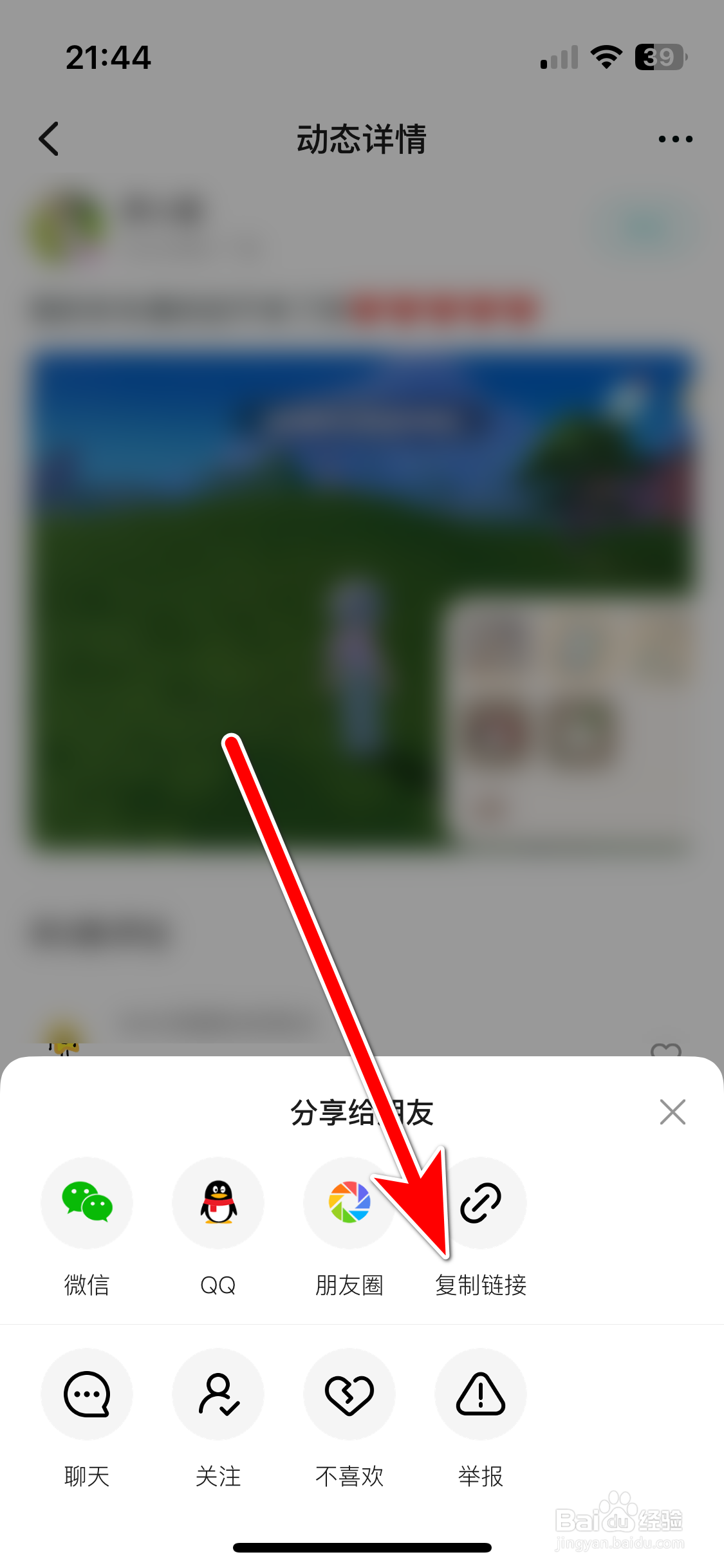 嗒伴如何复制动态的链接