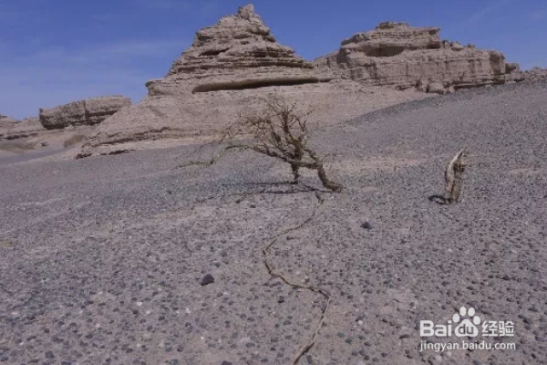 敦煌旅游全攻略