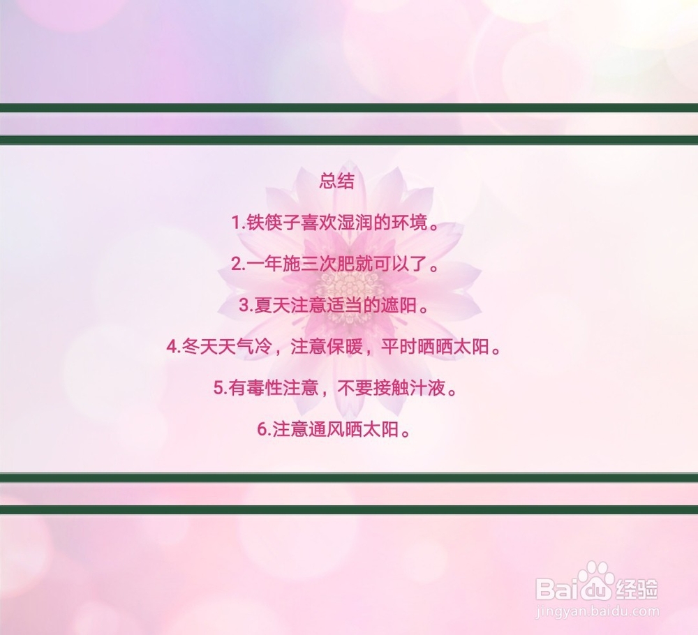 铁筷子的养殖方法和注意事项