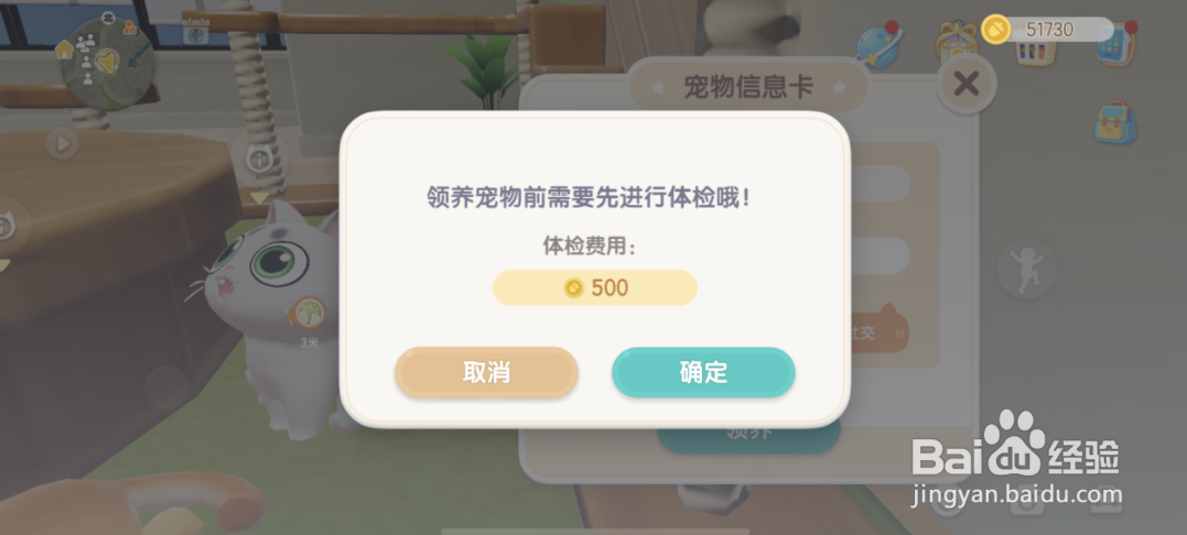 心动小镇怎么领养猫