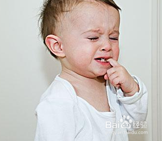 如何帮助宝宝顺利地度过磨牙期？