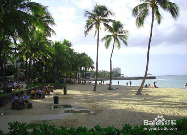 如何向美国名校提交SAT成绩