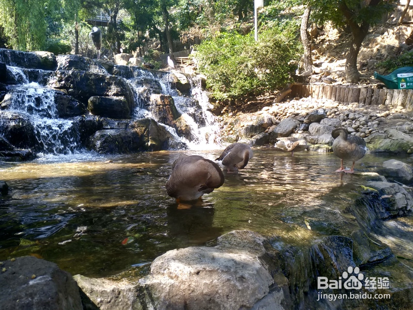 大连老虎滩一日游攻略