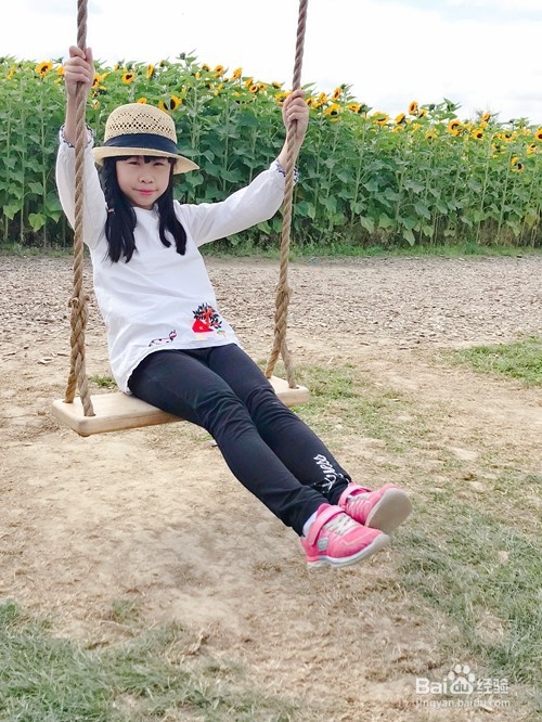 向日葵节Chilliwack Sunflower Festival
