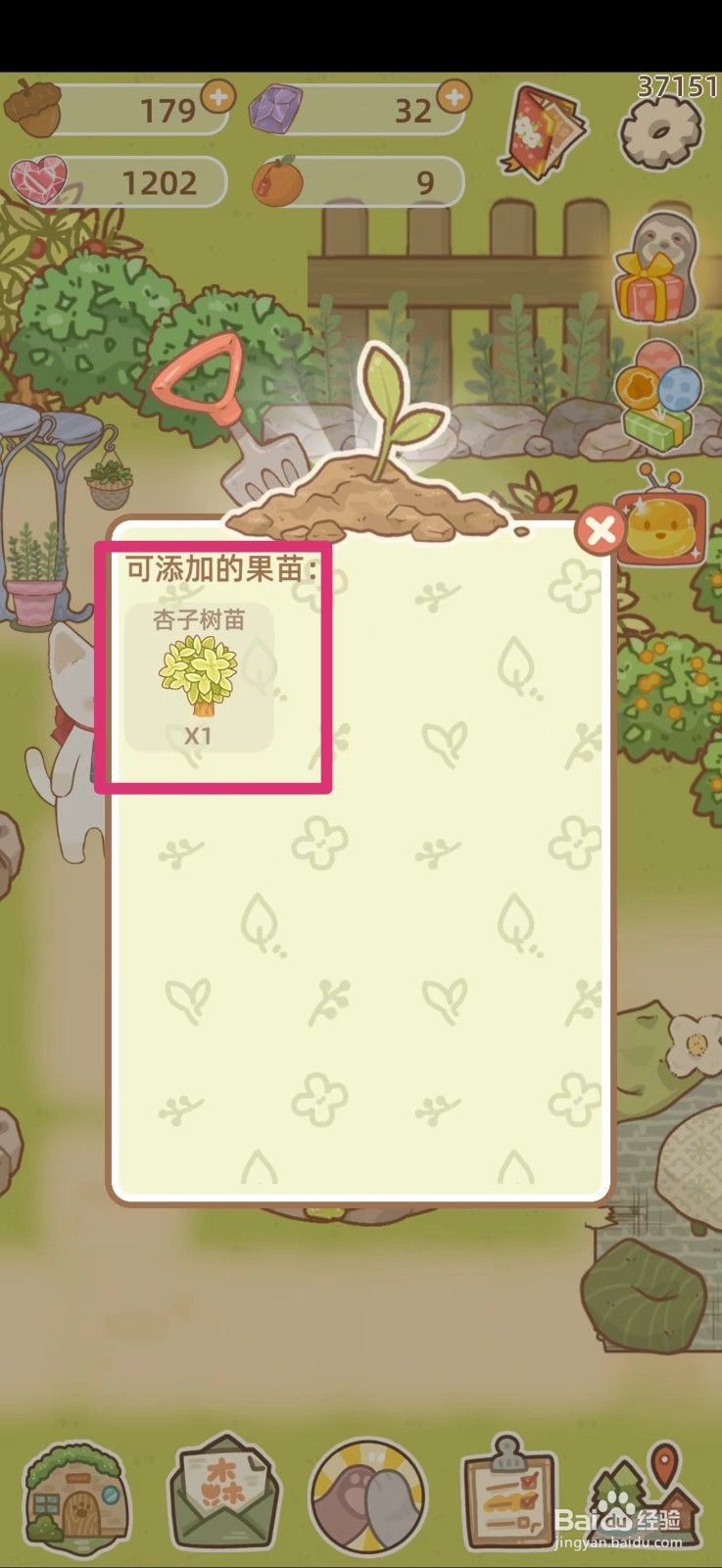 鼹鼠同行之森林之家如何获得杏子