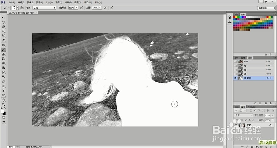 PS技术教程：[10]PS怎么抠图之抠取头发