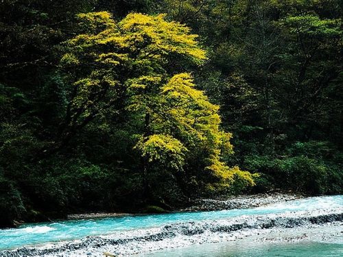 怎样游玩四川东拉山