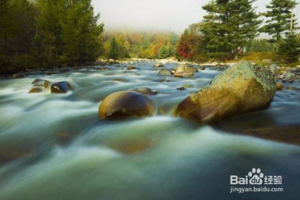 6处新建国家级自然保护区