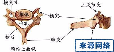 怎样学好医学
