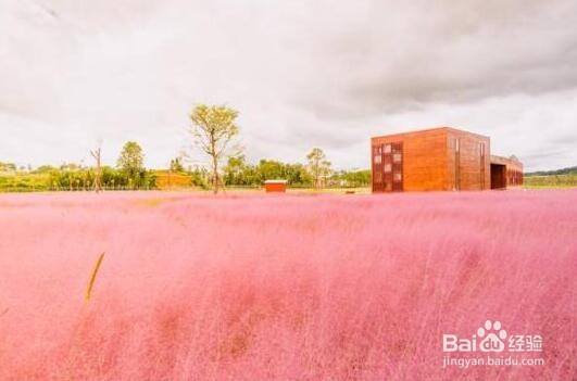 山里江南美景收服国人心