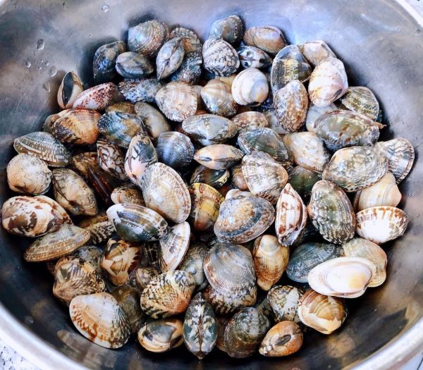 蒜蓉辣椒酱炒花甲