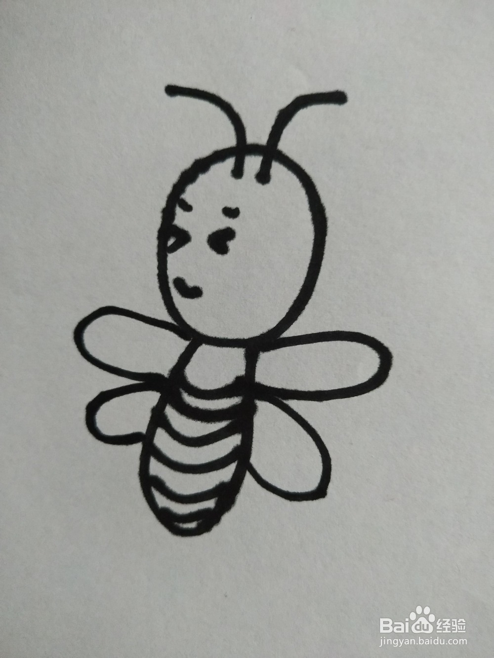 蜜蜂的简笔画技法8