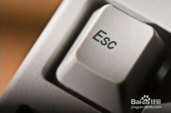 word中的自动画布如何撤销