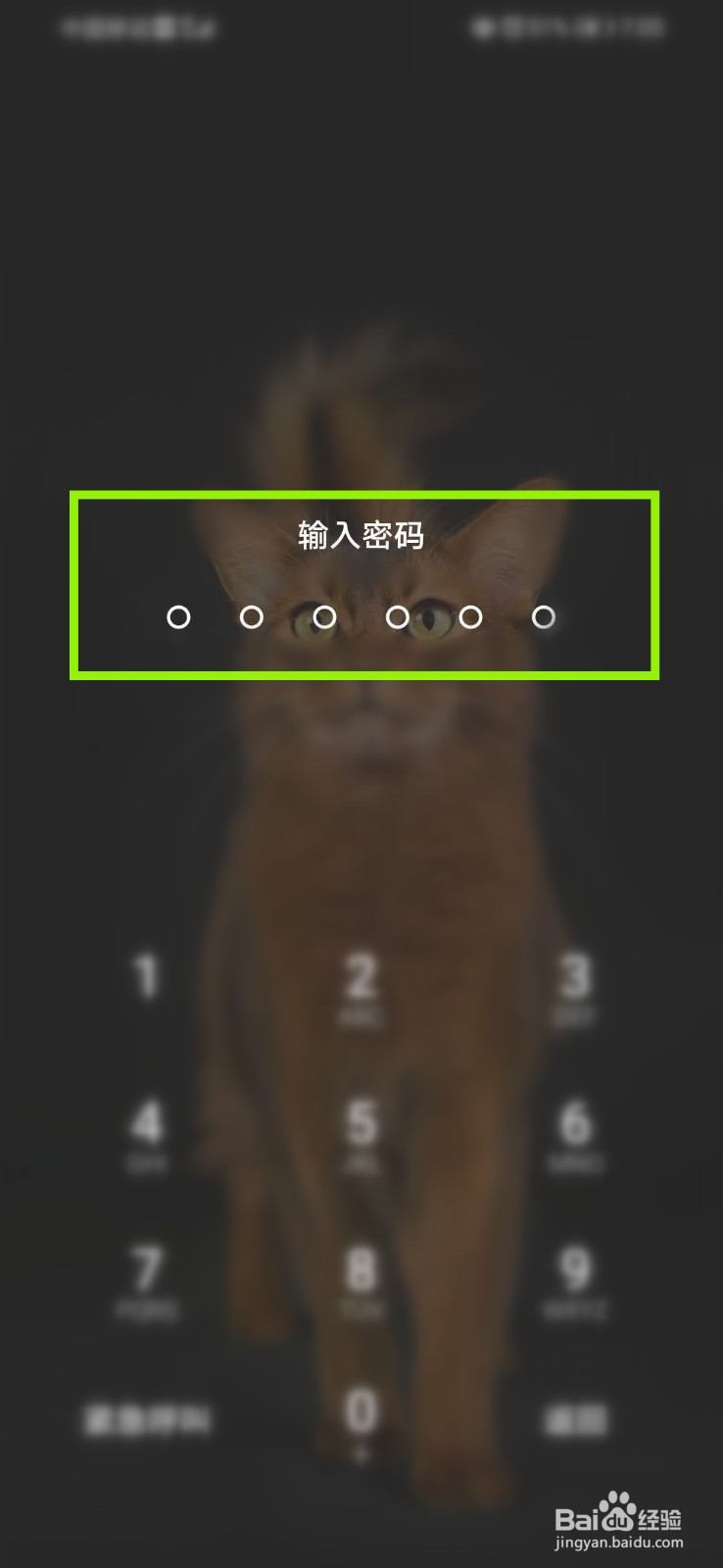 如何在微信中查看青桔单车的优惠券使用规则?