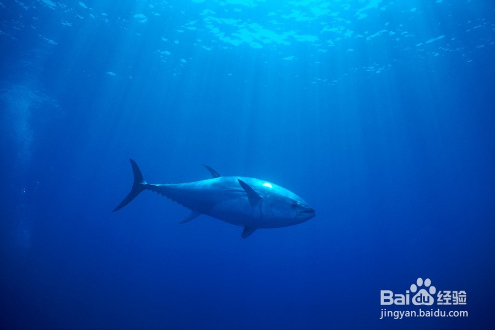 缓解疲劳的六种食物