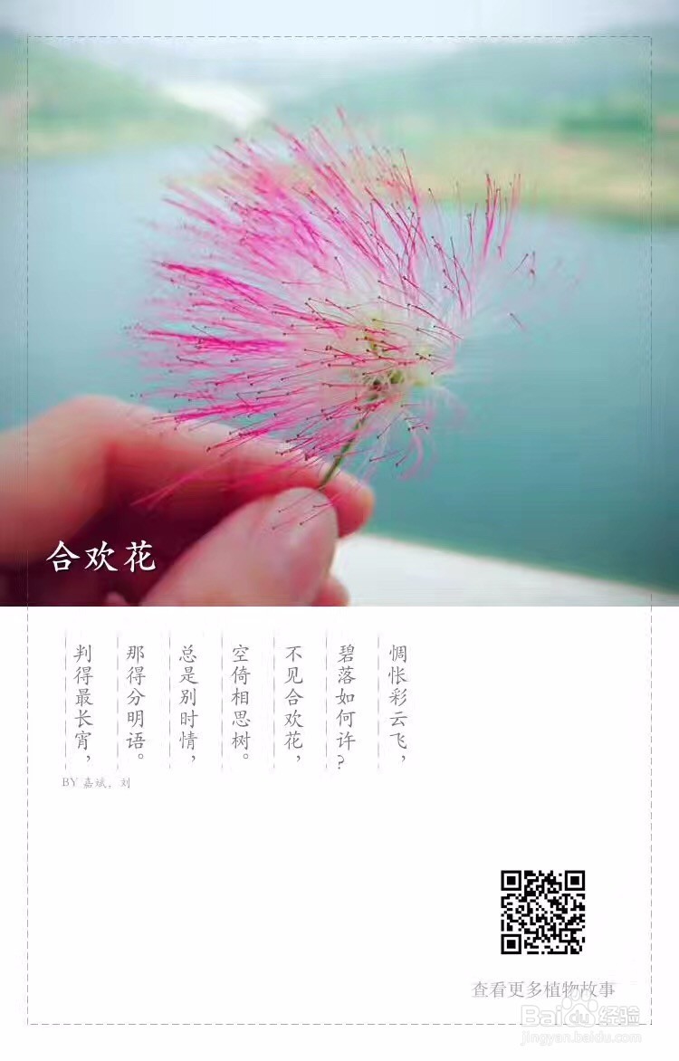 有没有识别植物的APP软件