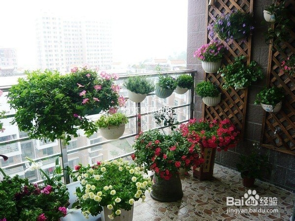 绿意无限精心装置小阳台