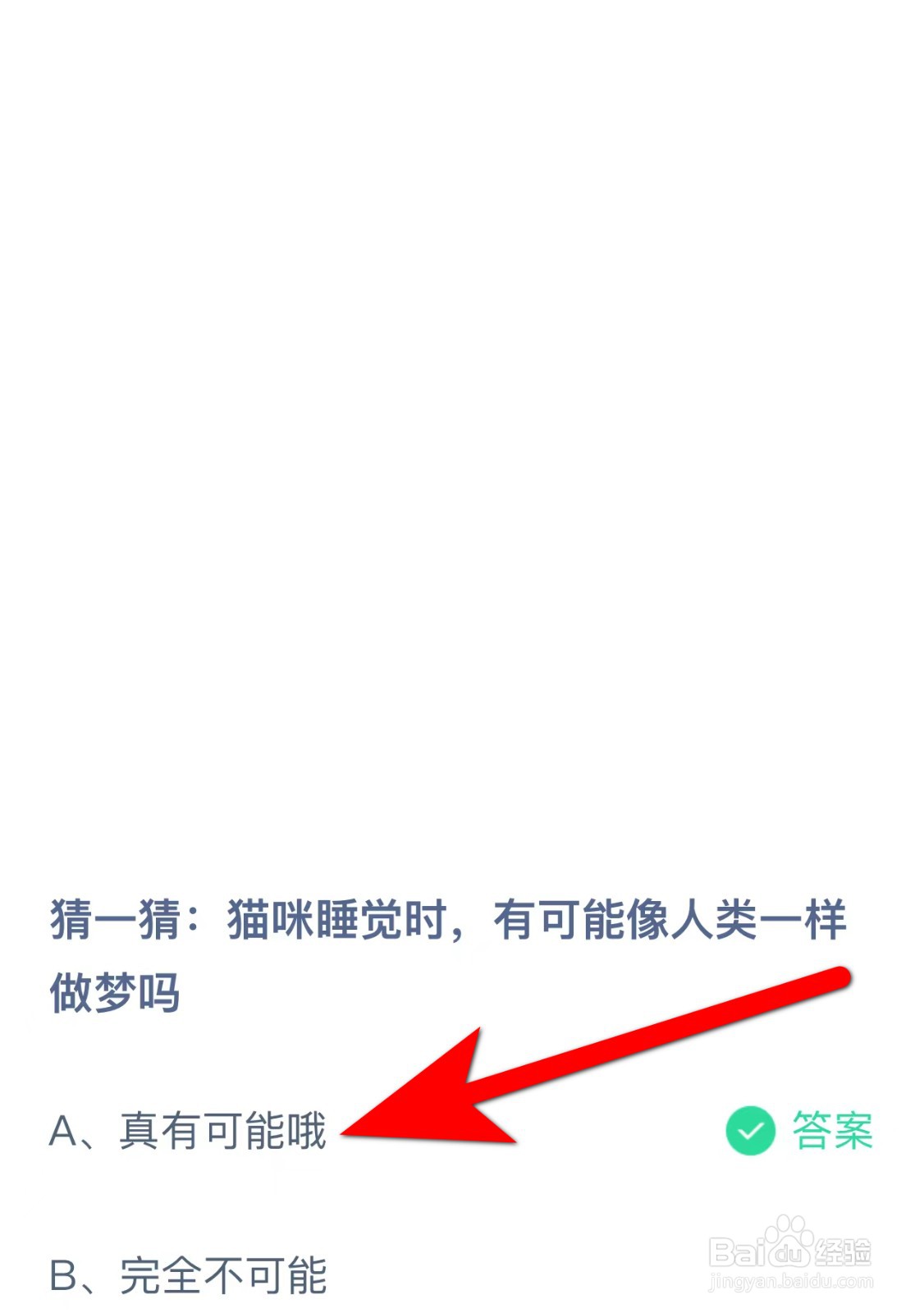 蚂蚁庄园答案猫咪睡觉时有可能像人类一样做梦吗
