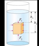 初中物理浮力的基本知识点与解题方法