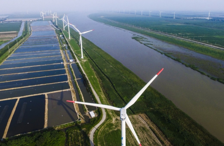 上海郊区人少的景点