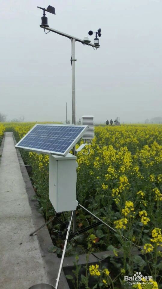 农业自动气象站如何改变“看天吃饭”的现象？