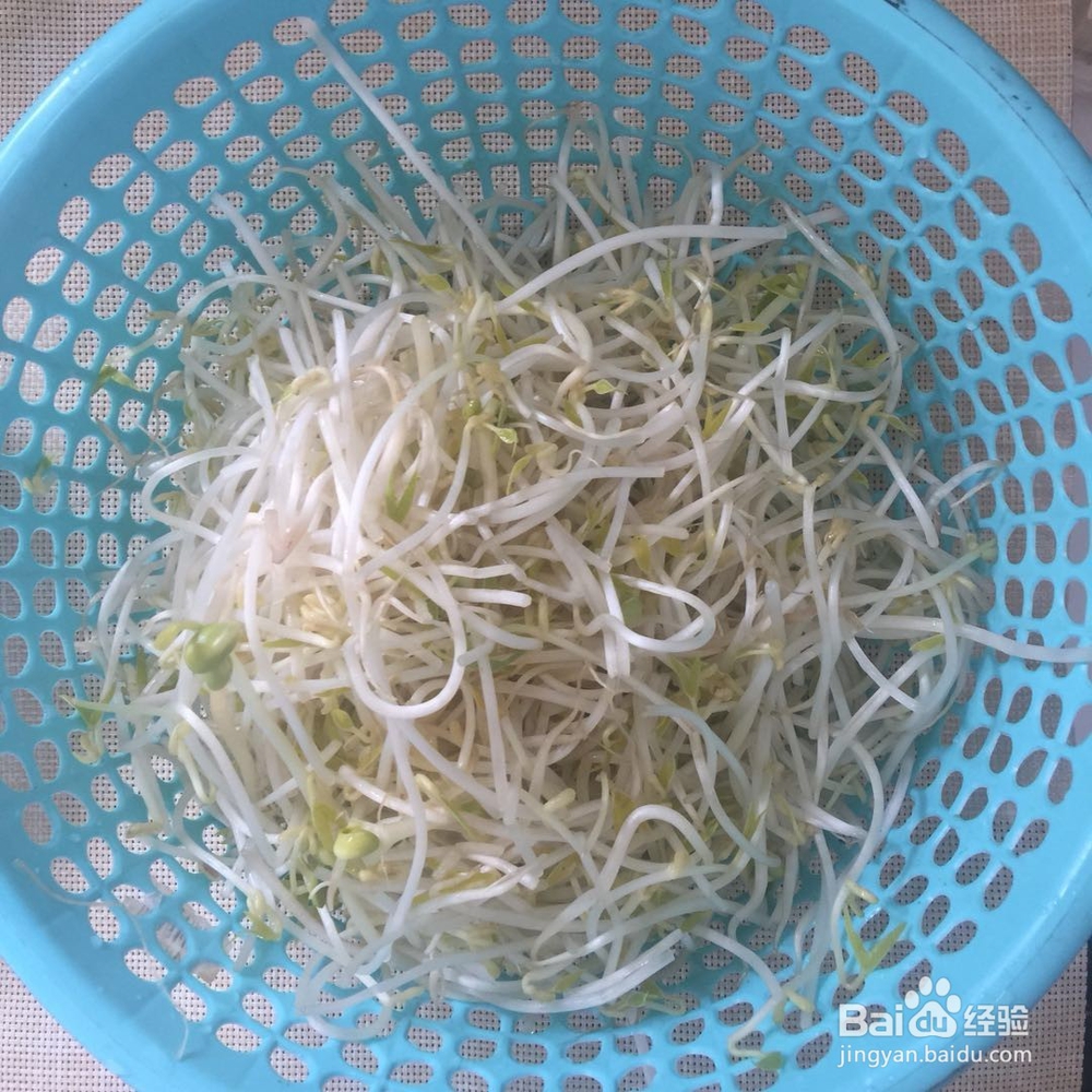 如何做豆芽炒肉好吃?