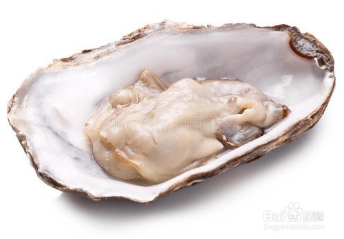 赶海可以抓到什么呢