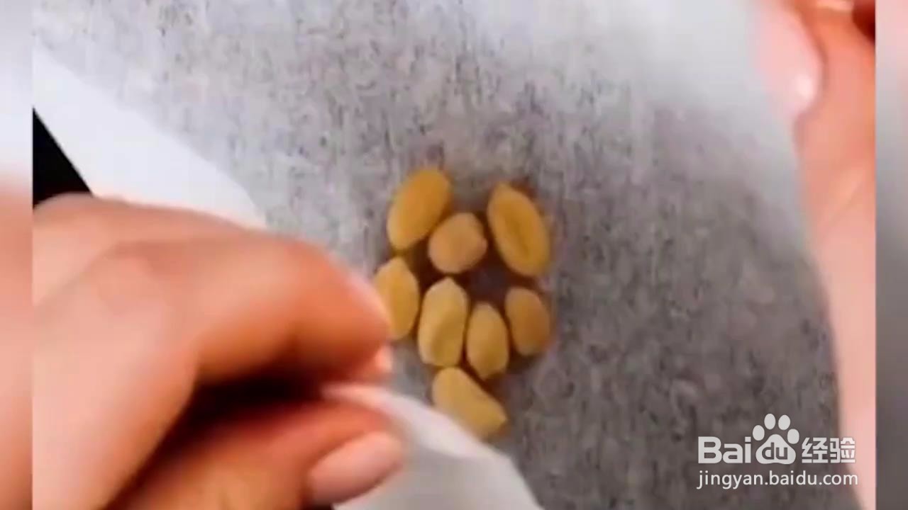 如何在家小范围种菜