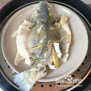 美味清蒸鲈鱼