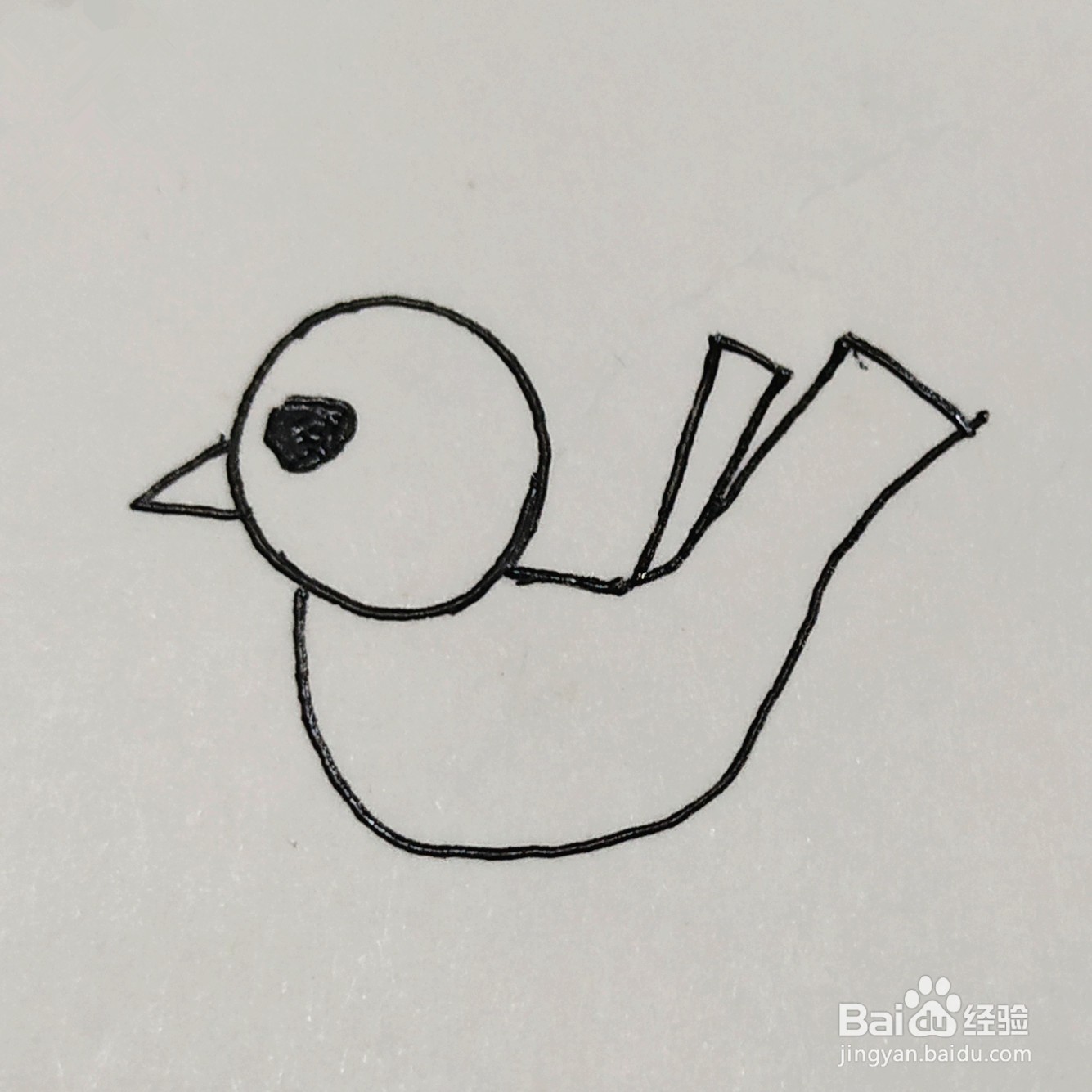 怎样画一只呆萌的小鸟