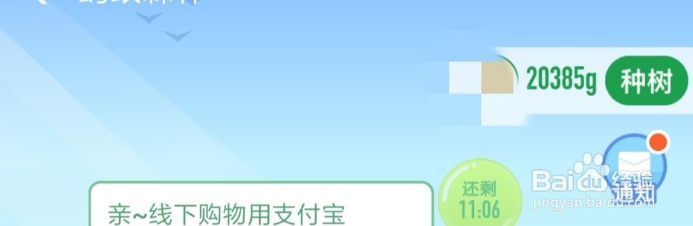 怎么在支付宝的蚂蚁森林里种树