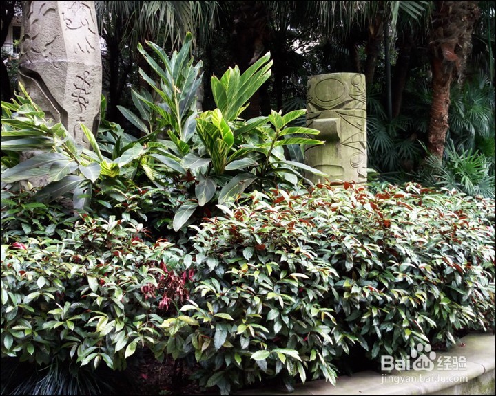 vivo X5 PRO手机详细测评