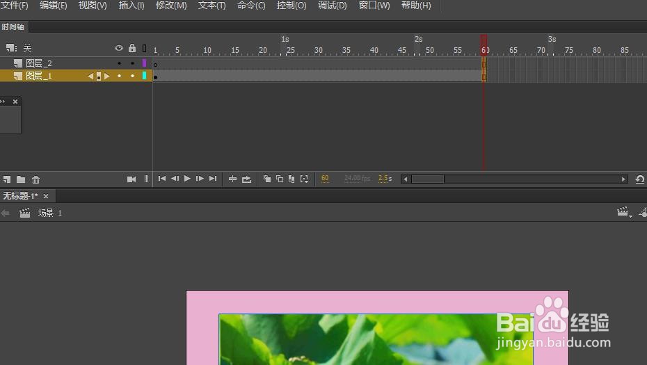 Animate如何制作动态遮罩动画