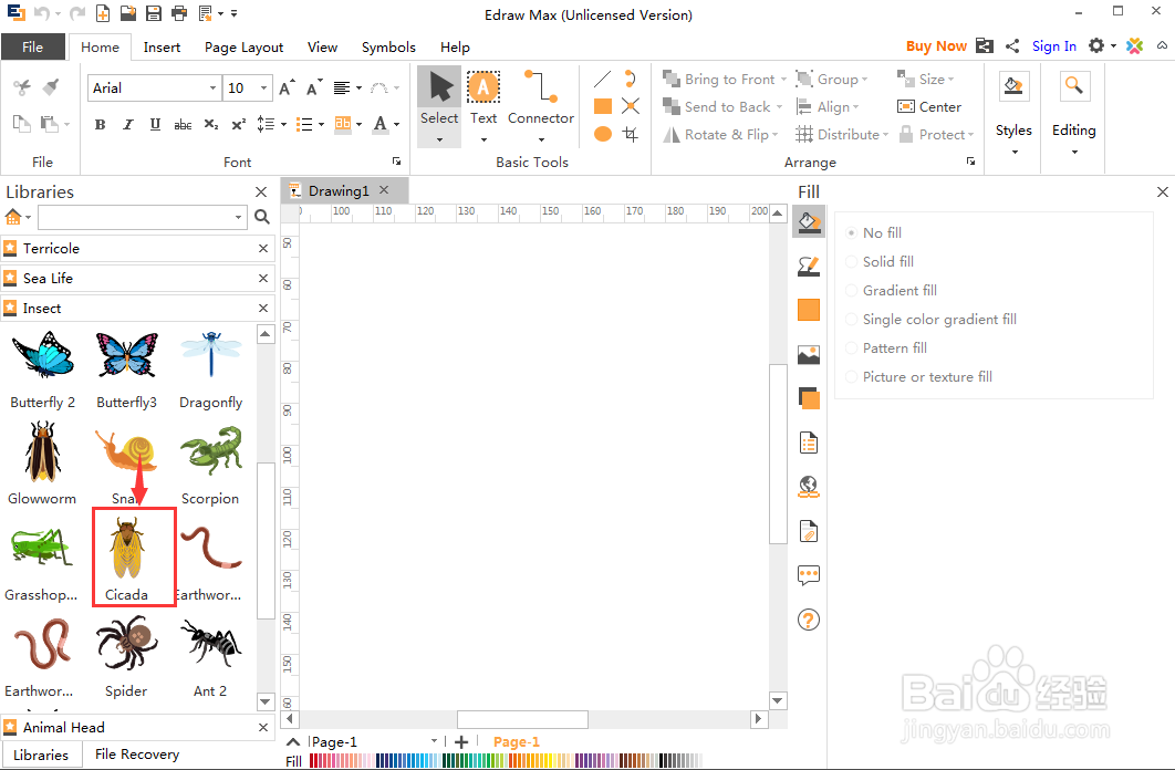 平面设计时创建知了的方法