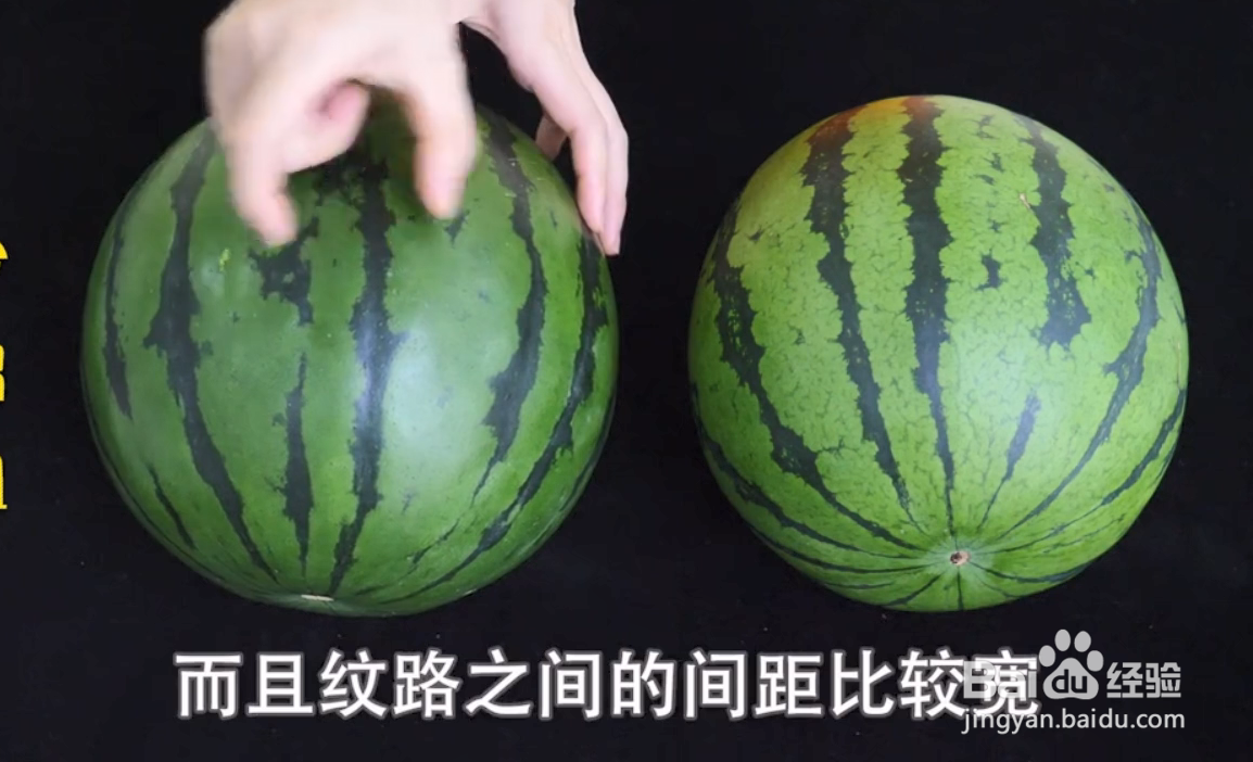 如何挑选西瓜？