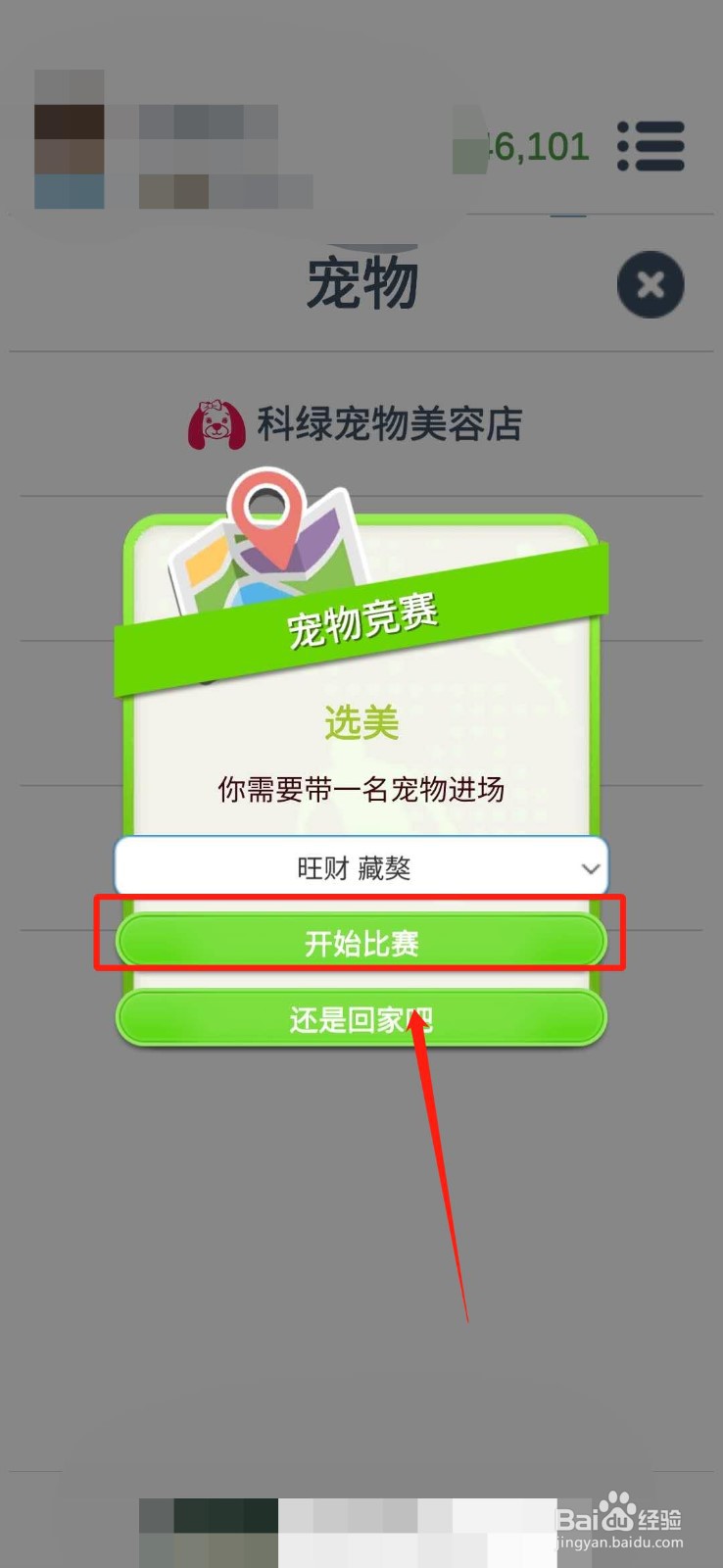 《第二人生》怎么带你的宠物参加宠物竞赛